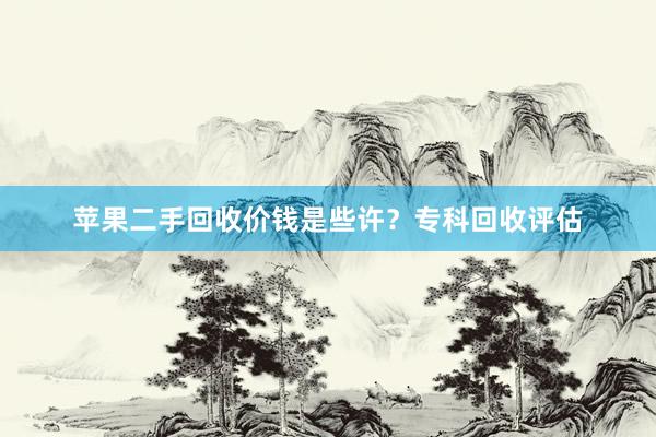 苹果二手回收价钱是些许？专科回收评估